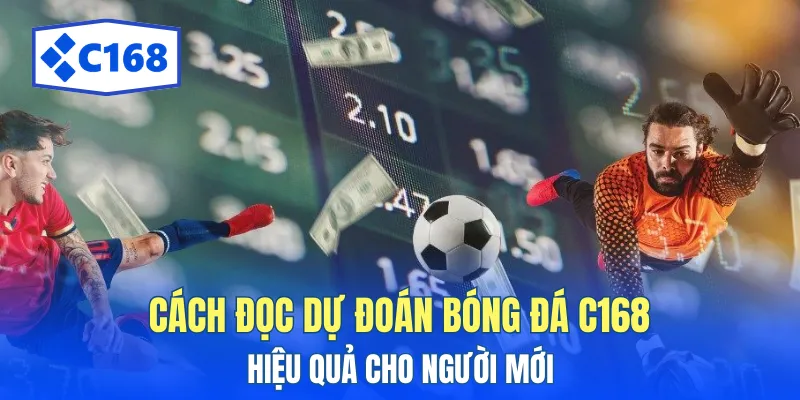 Hướng dẫn đọc phân tích bóng đá cho người mới